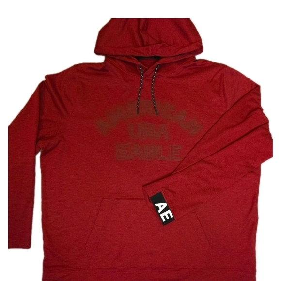 🦅 American Eagle Outfitters AE Graphic Hoodie Men's Size 2X - Picture 3 of 7